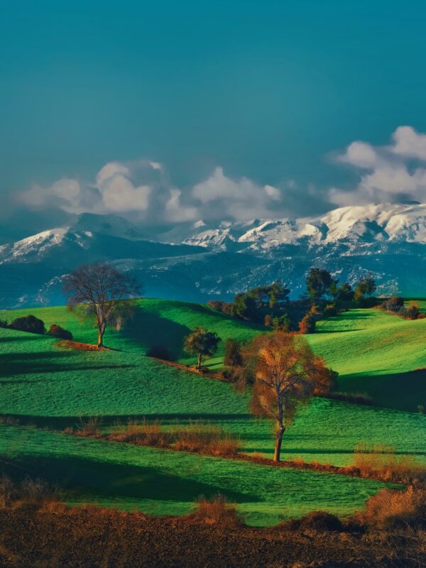 Çukurova 40x60 Fotoğraf Baskı